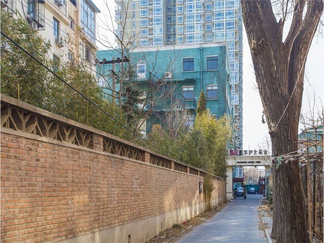 深圳高强板三合一送料机